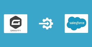 Gravity Forms - Salesforce CRM Integration-nulled by daddy cod